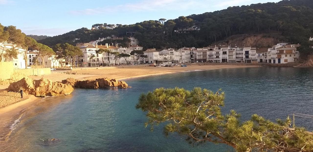 Precioso Apartamento Con Piscina En Tamariu Eksteriør billede